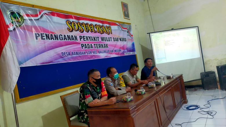 Sosialisasi Penanganan Penyakit Mulut dan Kuku Hewan/Ternak di Desa Babadan Lor